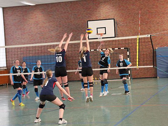 Volley 7.3 550